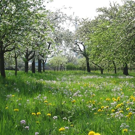 Ferienwohnung Zwischen Rhein Und Schwarzwald Bischweier ภายนอก รูปภาพ