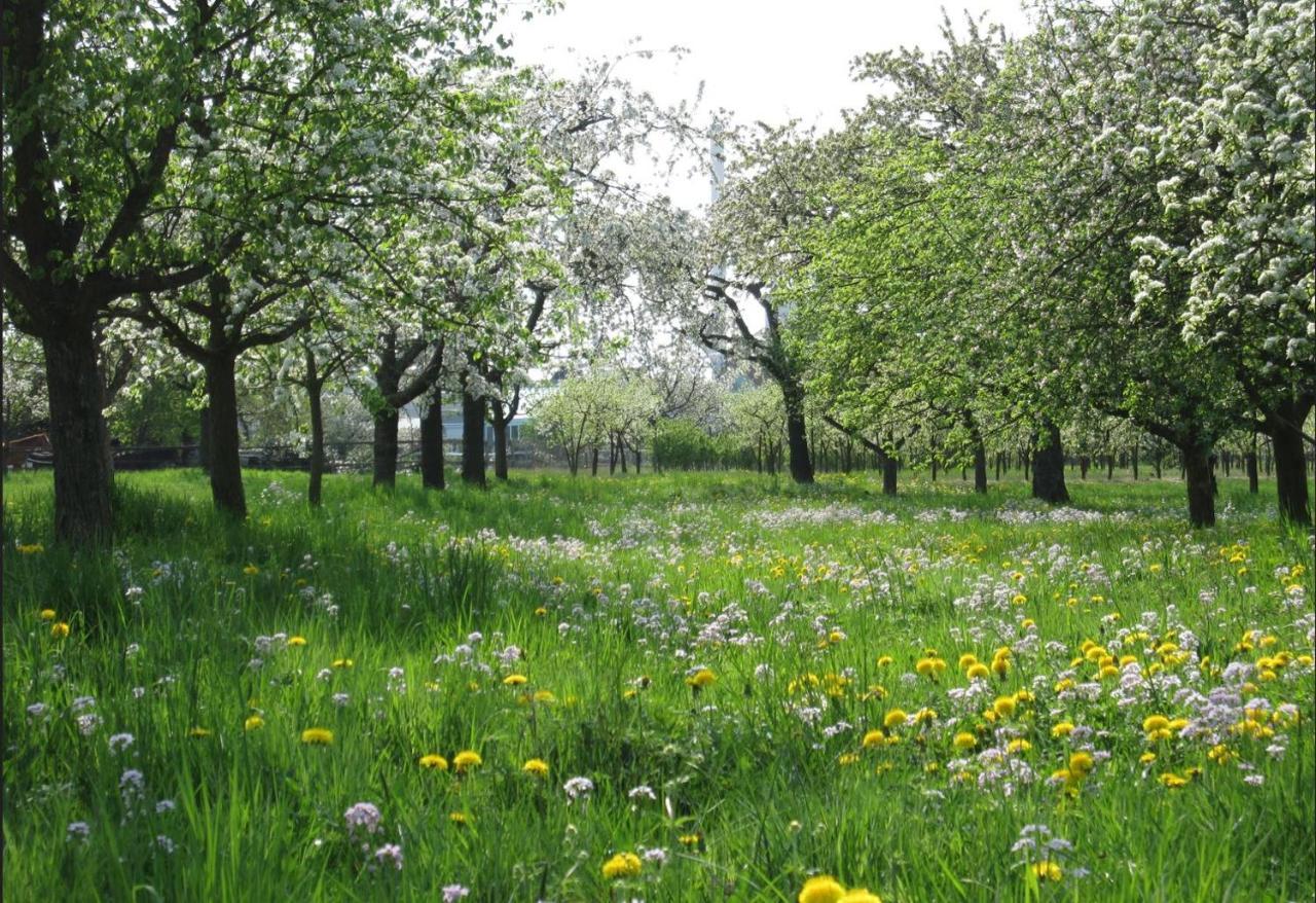Ferienwohnung Zwischen Rhein Und Schwarzwald Bischweier ภายนอก รูปภาพ