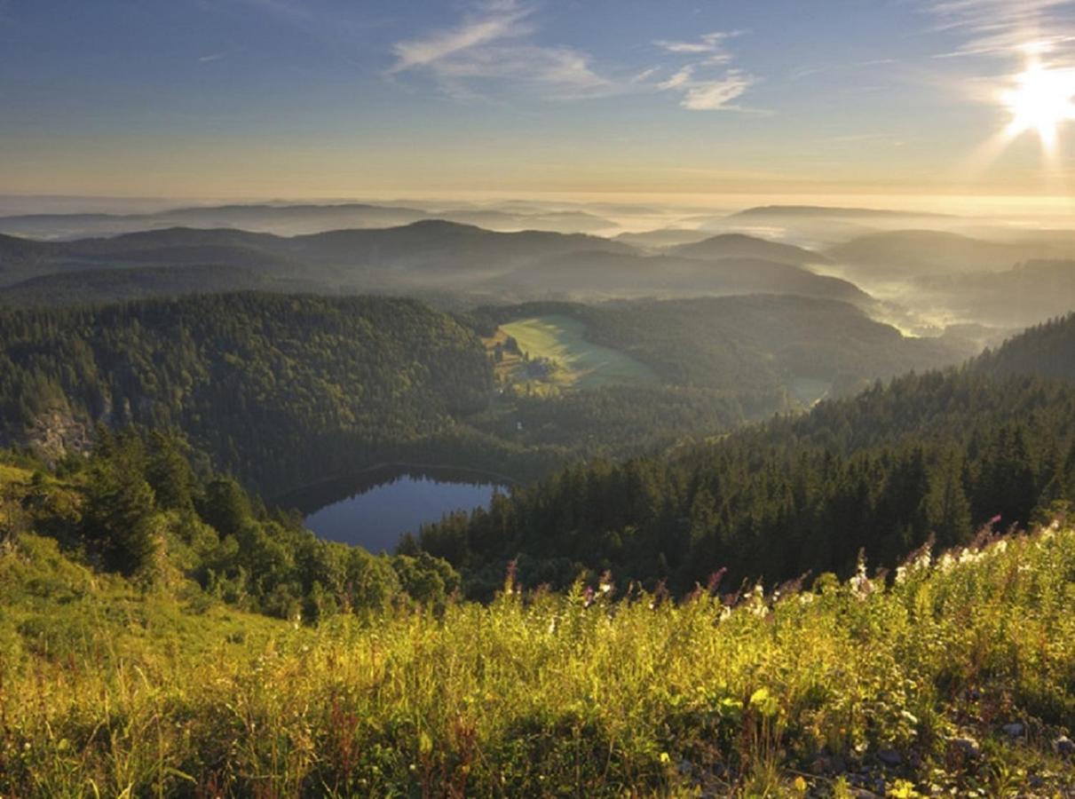 Ferienwohnung Zwischen Rhein Und Schwarzwald Bischweier ภายนอก รูปภาพ
